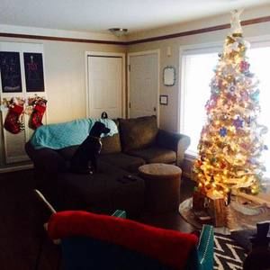 Meet your Posher, Deanna